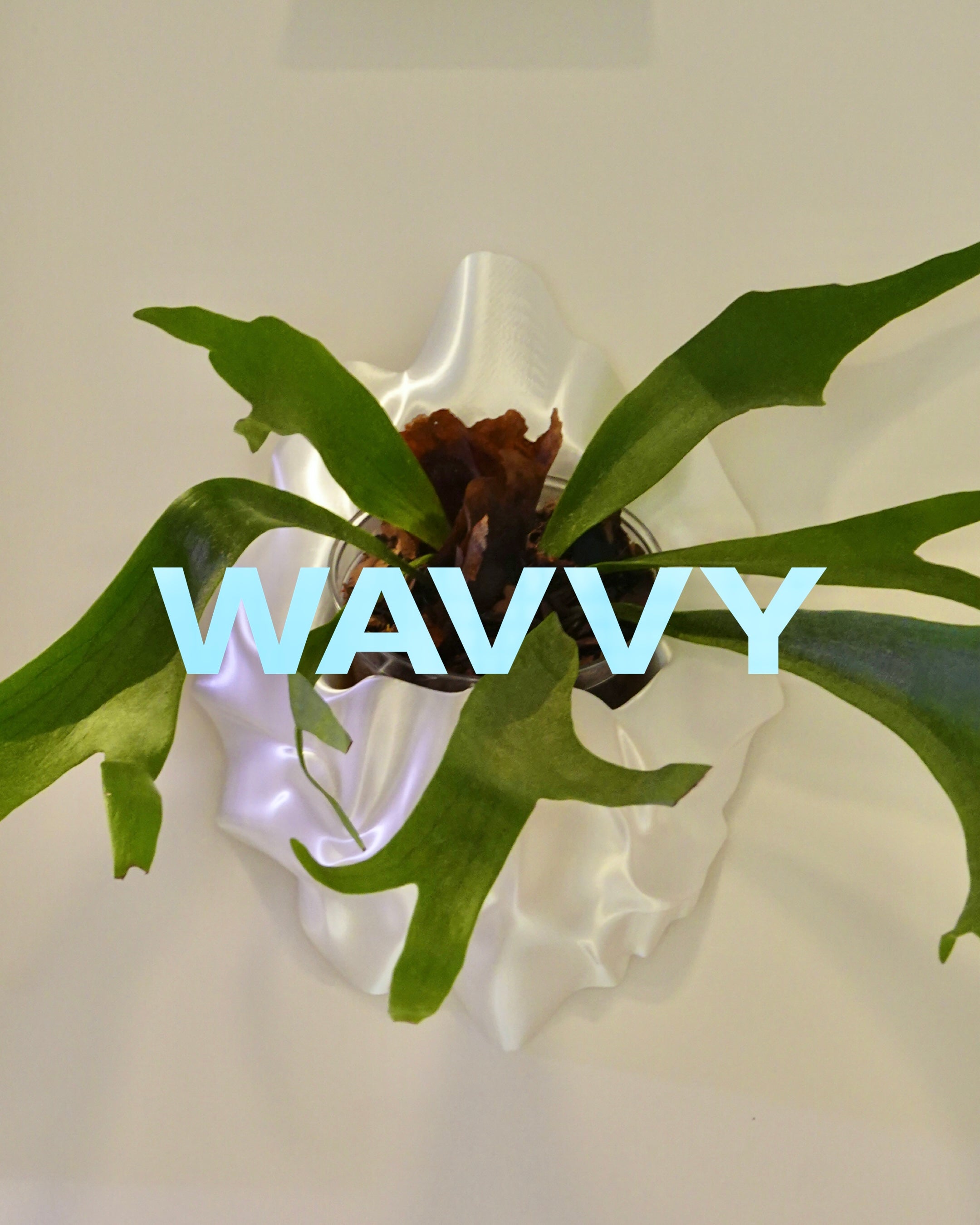 WAVVY