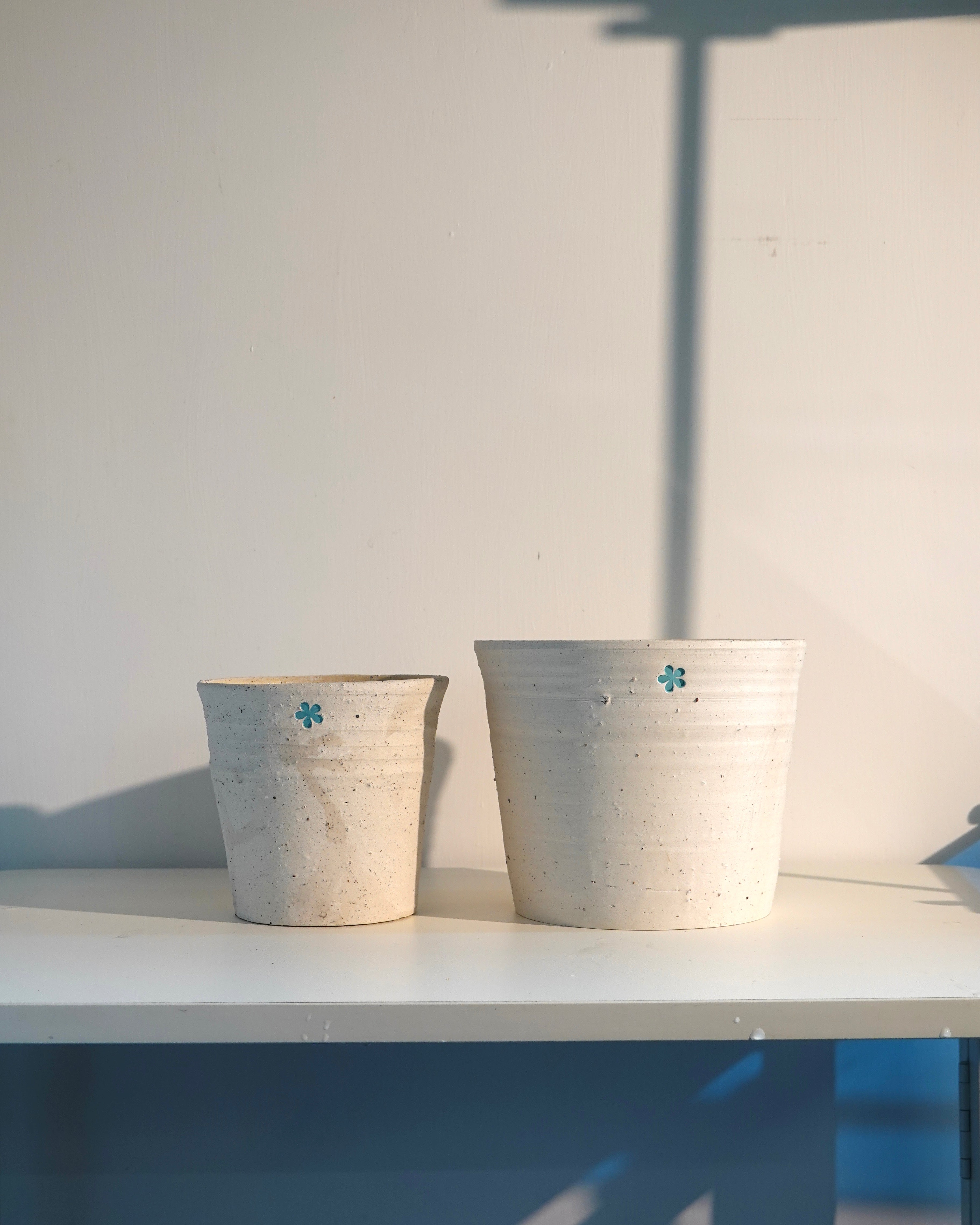 Wildhabitat x Kilnery pot collection display