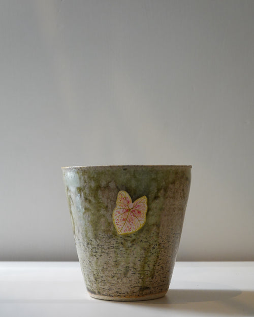 Handmade ceramic planter pot for tropical houseplants