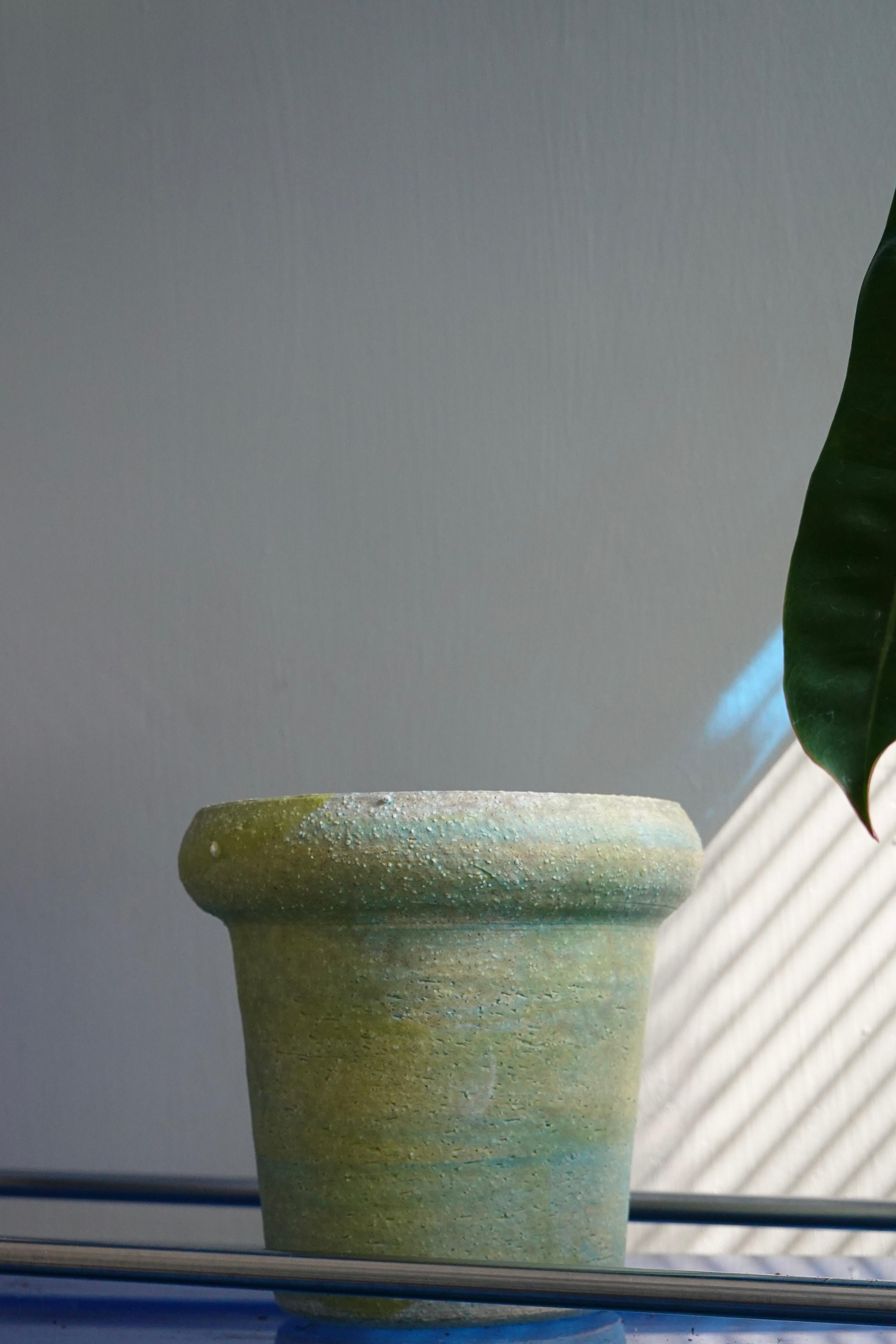 Wild Habitat Plant Club Ceramic Pot 