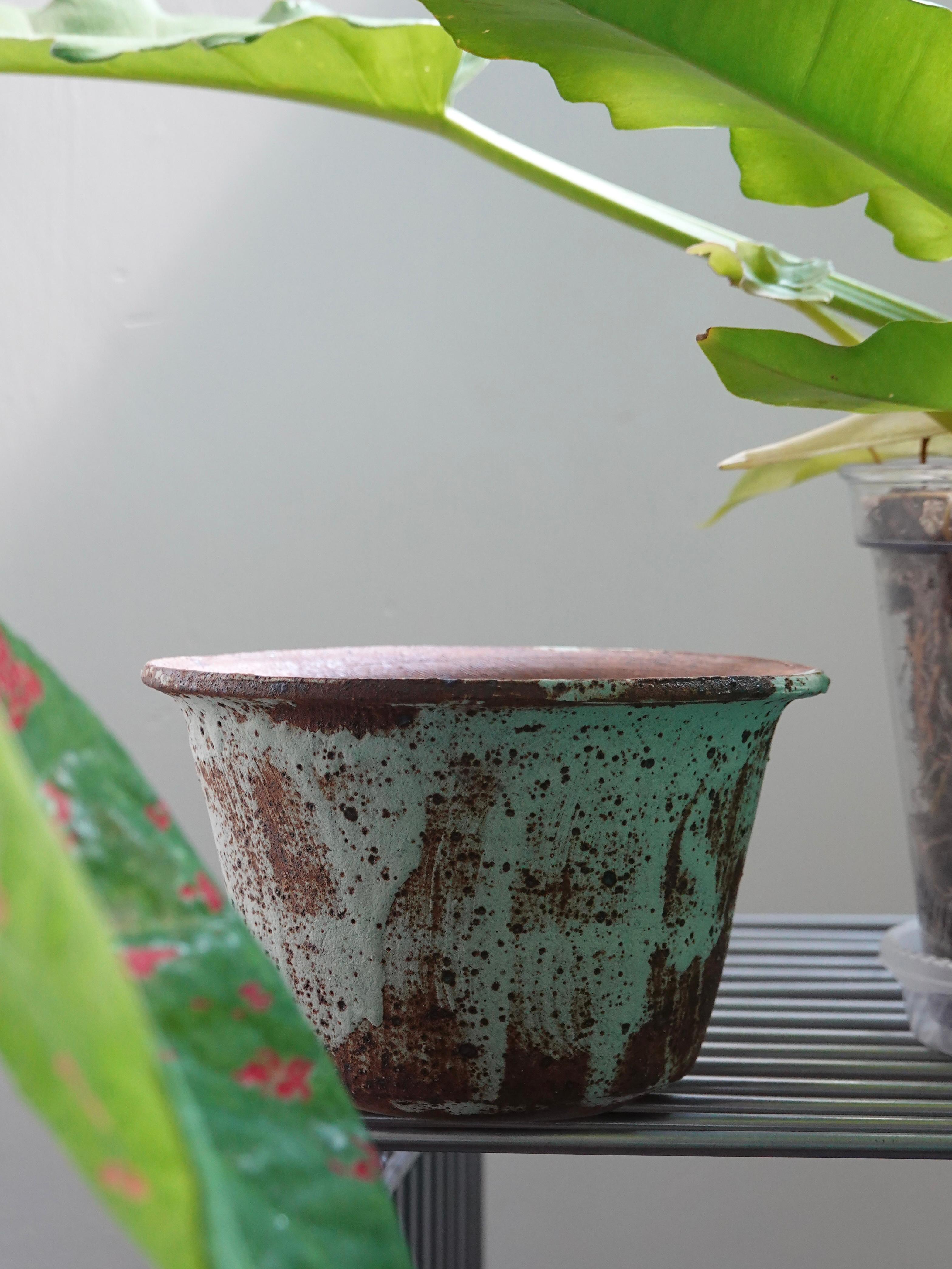 Wild Habitat Plant Club Ceramic Pot 