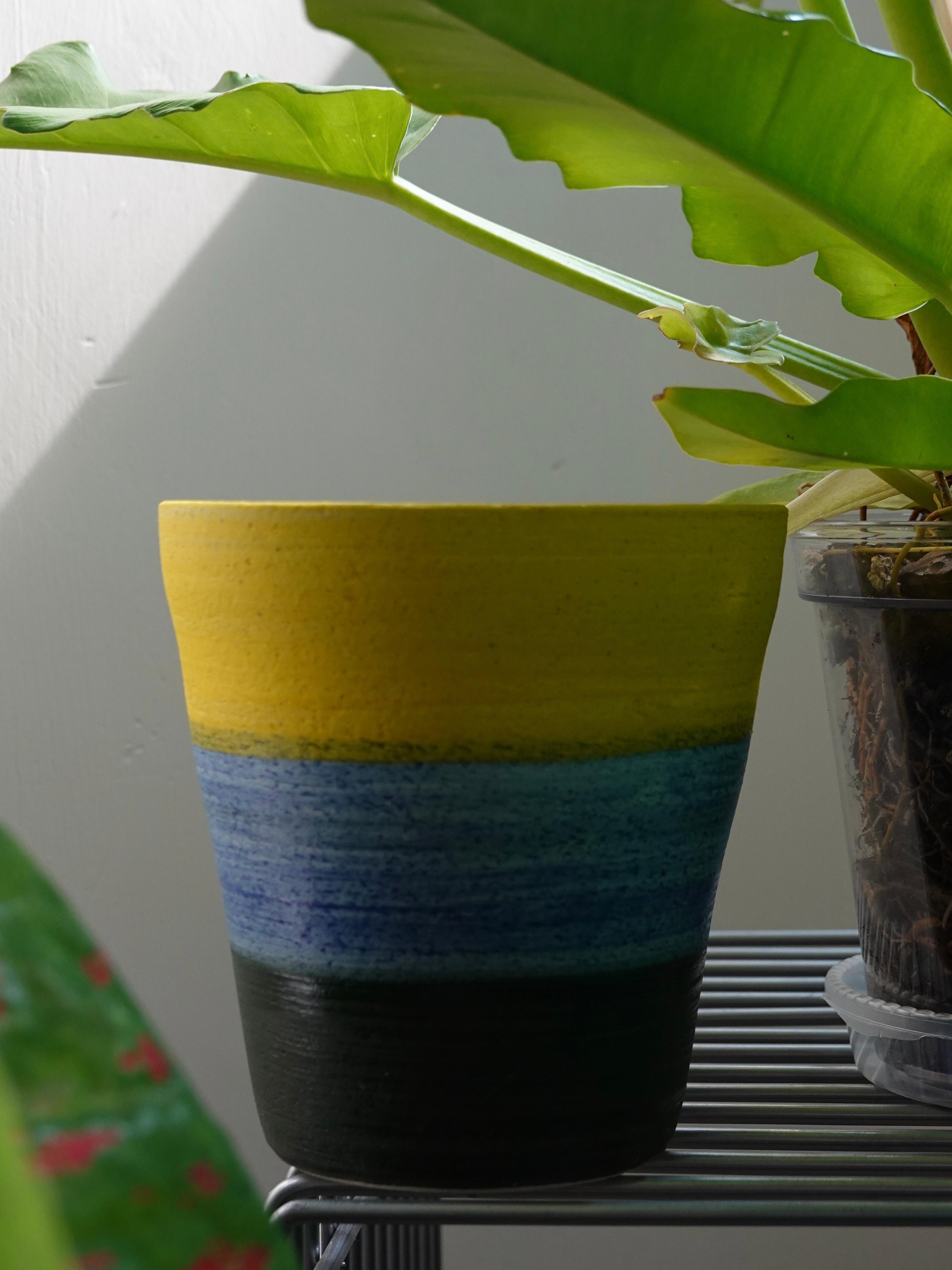 Wild Habitat Plant Club Ceramic Pot 